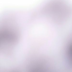 ALL CLOTHES PRICES NEGOTIABLE